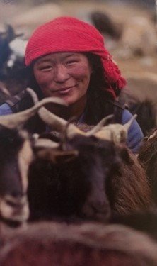 A smiling person wearing a red head covering surrounded by goats.