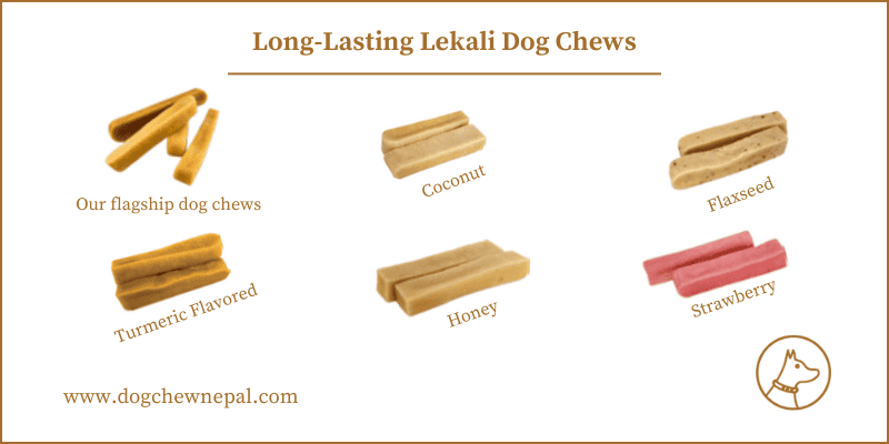 Long-Lasting Chews for Dogs from Lekali Dog Chew Nepal