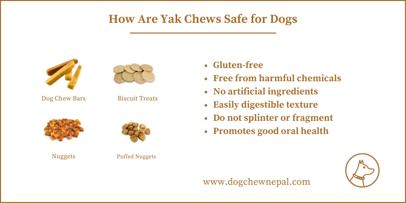 Nepal's yak milk dog chew industry, supporting local farmers, is expanding with significant exports to America and Canada.