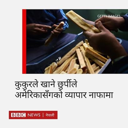 Interview given to BBC News about export of Yak Chews from Nepal